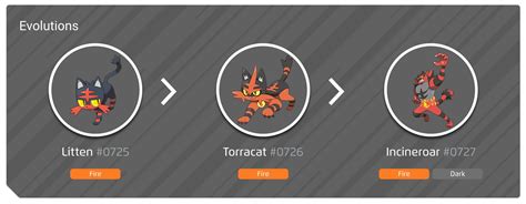 litten evolution chart|what level does litten evolve.